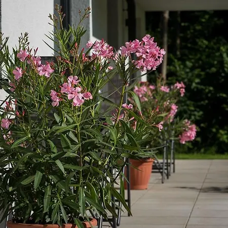 Ferienwohnung Unterlechner Vomp Exterior foto